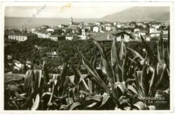 ak218480 Bordighera, La marina