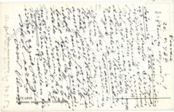 Estuario, Madonna dei pescator