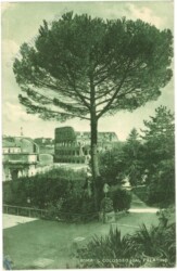 Roma (Rom), Il Colosseo dal Palatino