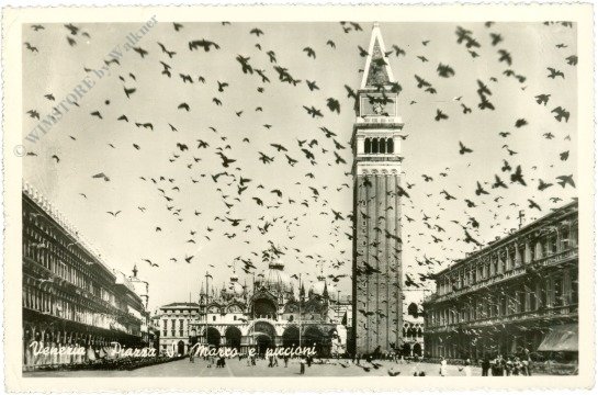 Venezia (Venedig), Piazza S. Marco e piccioni