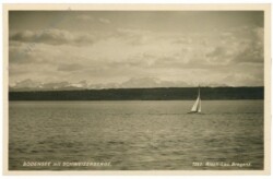 ak218688 Bodensee, mit Schweizerberge