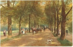 Baden-Baden, Lichtenthaler Allee