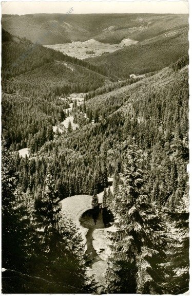 Kniebis, Ellbachseeblick