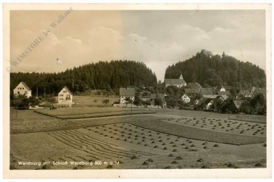Waldburg, mit Schloss Waldburg