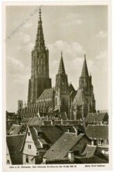 Ulm, Münster