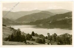ak218770 Titisee, Schwarzwald