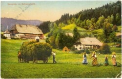 Schwarzwald, Heuernte