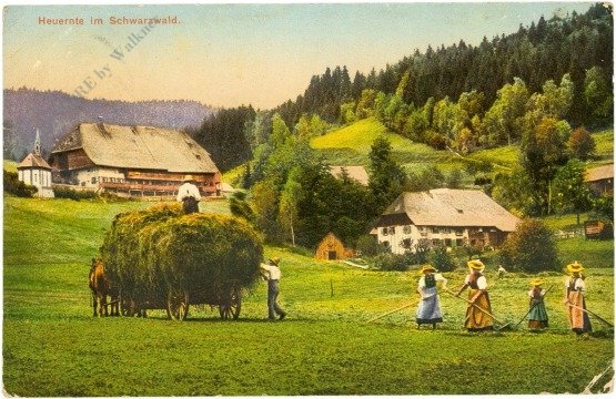 Schwarzwald, Heuernte