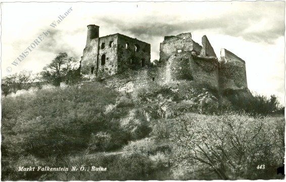ak218834 Markt Falkenstein, Ruine