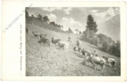 Ich bin vom Berg der Hirtenknab...