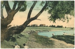 Berlin, Mariendorf, Am Eckernpfuhl