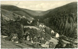 Wildemann, Spiegeltal