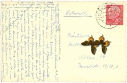 Nordseeheilbad Cuxhaven-Döse, Einsamer Wegweiser