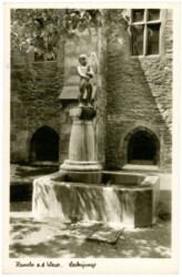 Hameln, Lachsjunge