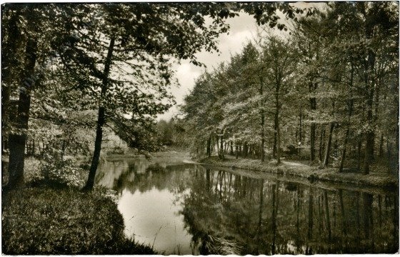 Haltern am See, Partie an der Steyer