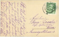 Herr mit Wanderstock