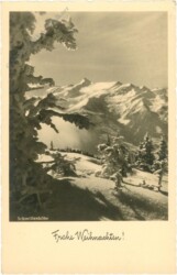 Verschneite Berge
