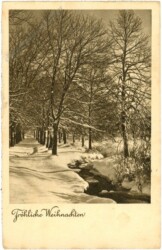 Verschneiter Weg dem Bach entlang