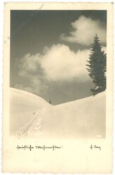 Verschneite Berge