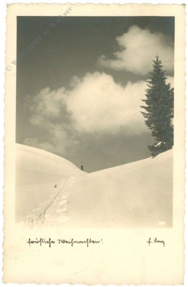 Verschneite Berge