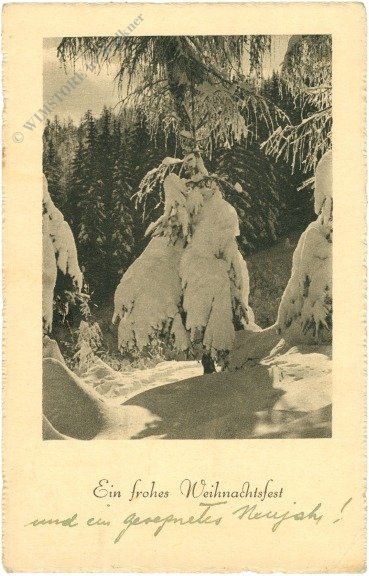 Verschneiter Wald