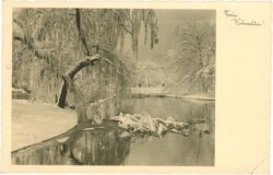 Verschneiter Fluss