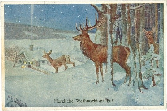 Rehe kommen aus dem Winterwald