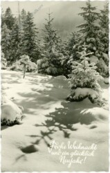 Verschneiter Wald