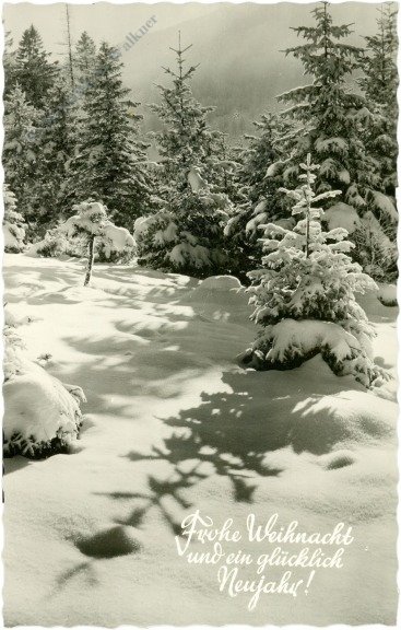 Verschneiter Wald