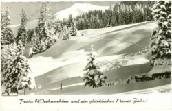 Verschneite Alm
