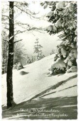 Verschneiter Wald