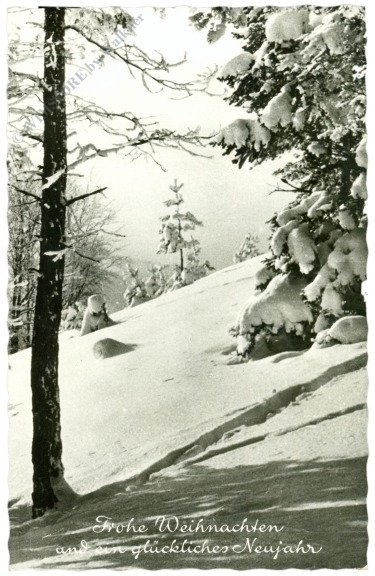 Verschneiter Wald