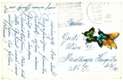 Weihnachtsgrüße aus Hopferau