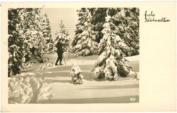 Verschneiter Wald mit Tourengeher