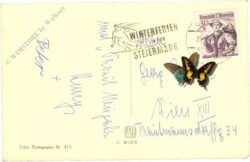 Zweig mit Kerze und Schneemannfigur