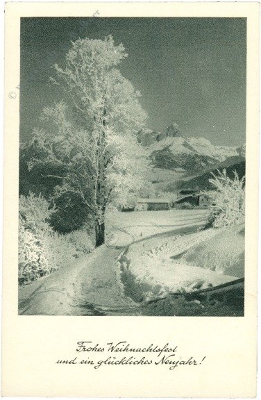 Verschneiter Weg