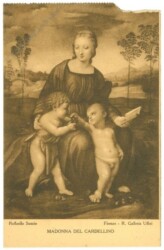 Raffaello, Madonna del Cardellino
