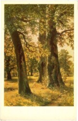 ak219681 Shishkin, Ivan: Oaks