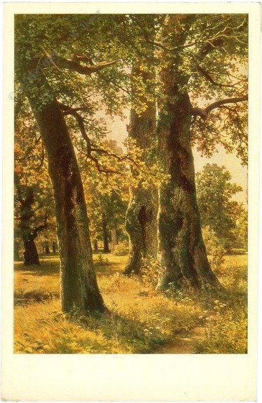 ak219681 Shishkin, Ivan: Oaks