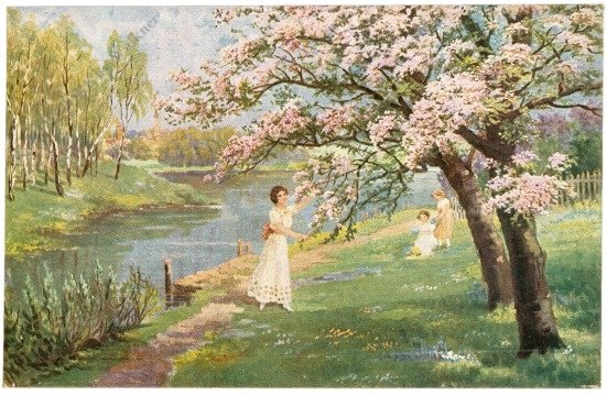 Krebs, S.: Ein Blütentraum