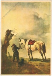 ak219805 Wouwerman: Le Cheval Blanc