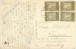 ak219861a Zewy, K.: Heimgefunden