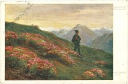 Straka, Josef: Almenrausch, Mandragores