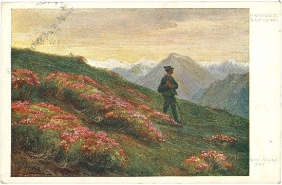 ak219871 Straka, Josef: Almenrausch, Mandragores