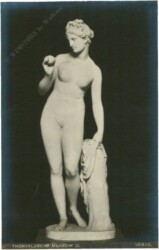Venus