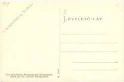 ak219954a Sächsischer Bursch und Mädchen