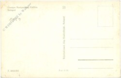 ak220046a Hirte mit einem Rind