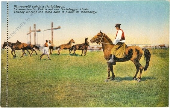 Hortobagy, Lassowerfender Csikos auf der Hortobagyer Heide