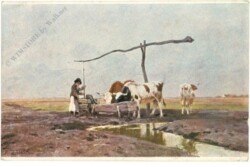 Auf der Puszta