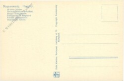 ak220113a Magyarorszag, Neunzigjähriger Schafhirt